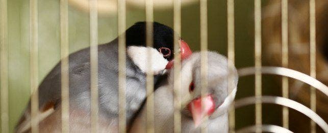 www.petplace.com