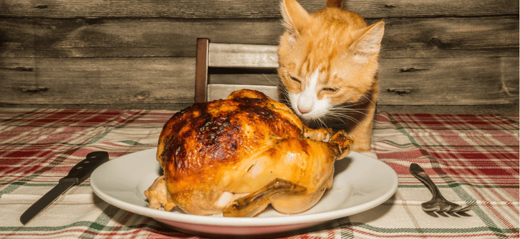 A kitten climbs on the table to take a taste of a Thanksgiving turkey.