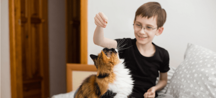 A boy on the autism spectrum plays with a cat.