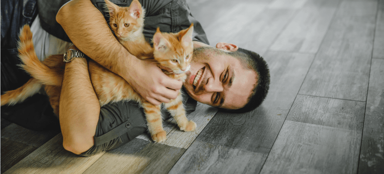 Two kittens being affectionate with their pet parent.