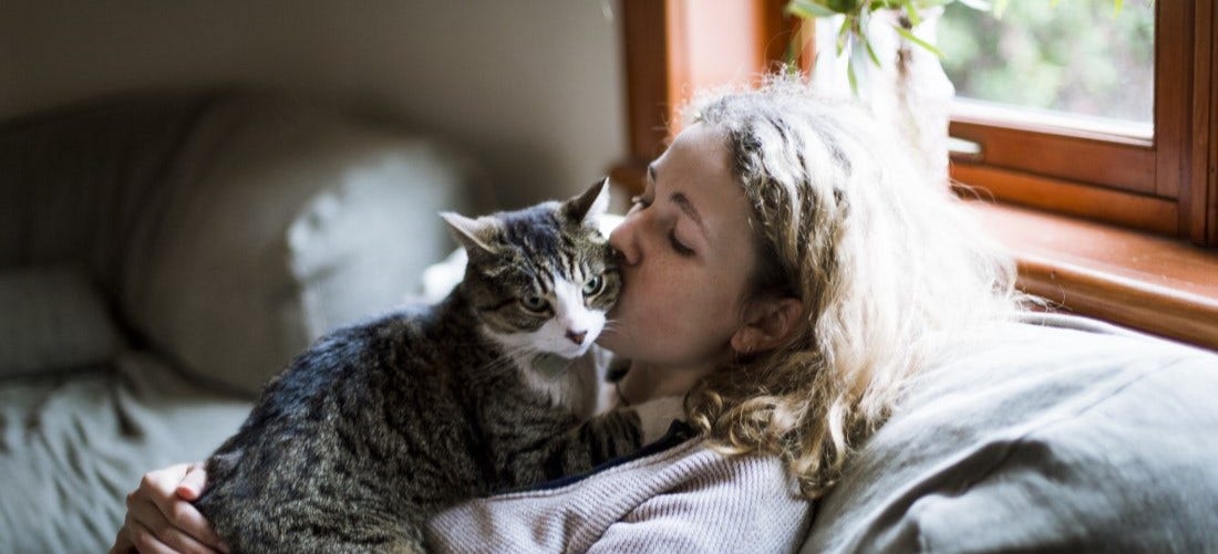 Does My Cat Love Me?