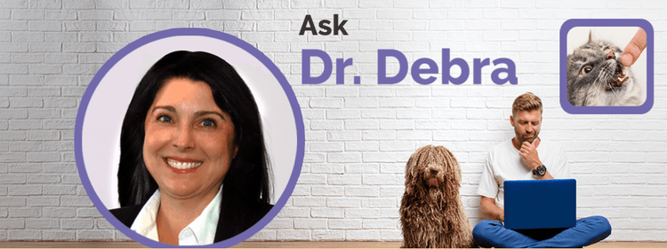A photo of Dr. Debra Primovic and inset photo of a cat biting a finger.