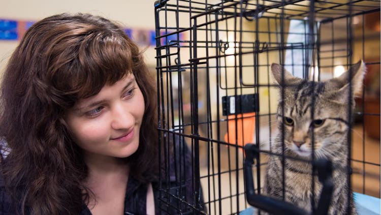 A woman looks at a cat in a cage.