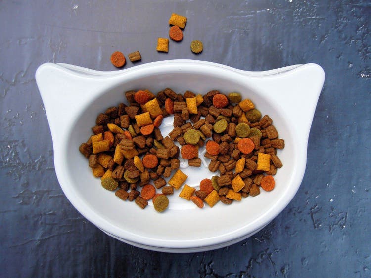 Cat food