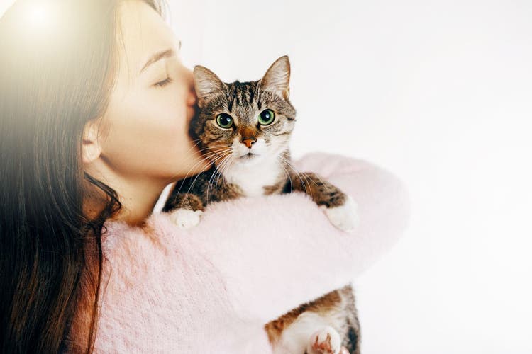 first-time cat owner