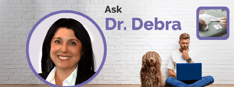 Dr. Debra Primovic investigates high sodium levels in senior cats.