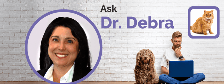 An image of Dr. Debra, a concerned pet owner, and their cat.
