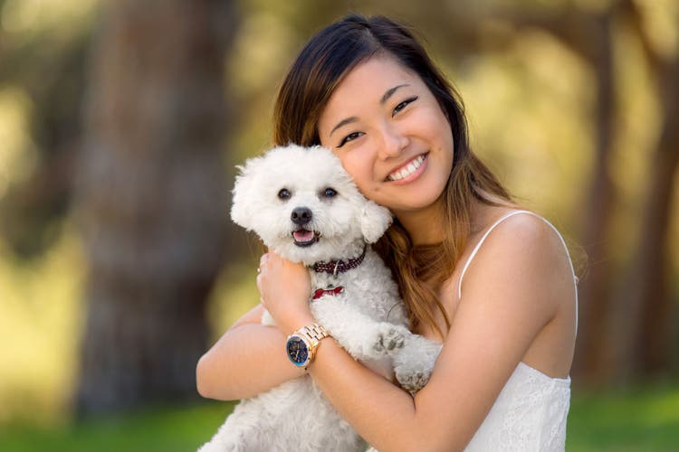 small hypoallergenic dog breeds
