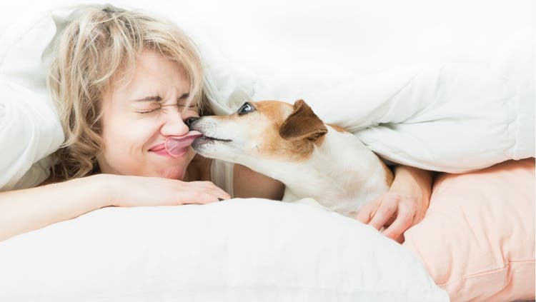 A dog licks their owner's face.
