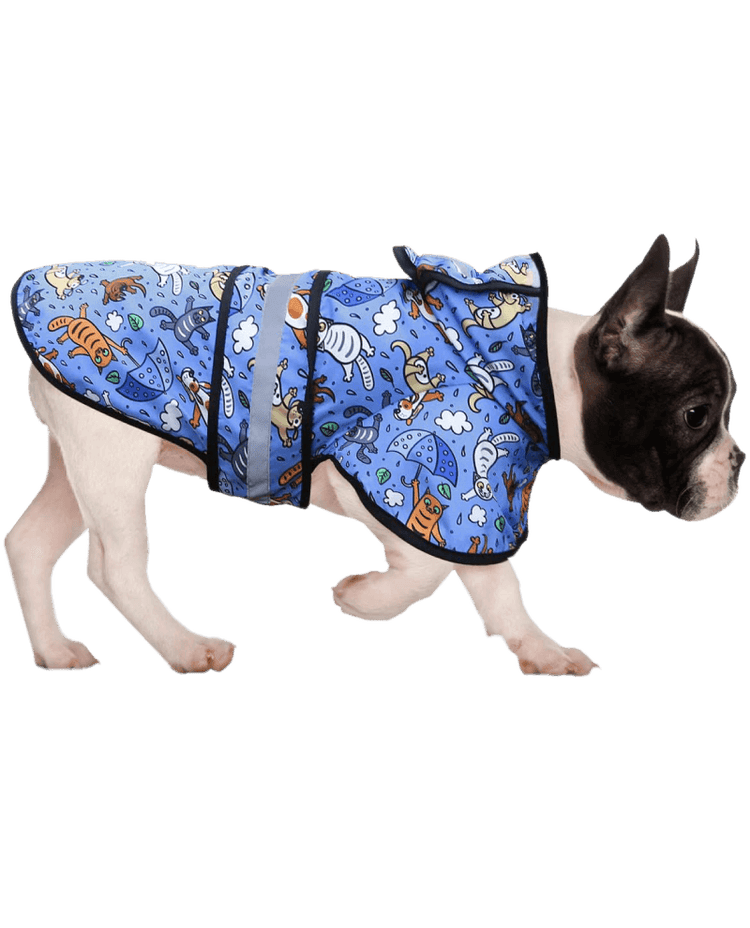 Pawsome Fall Style Report - PetPlace
