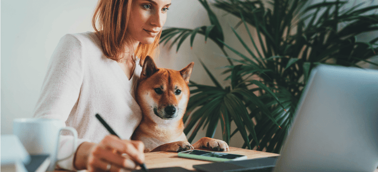 A dog at work with his artist mom.