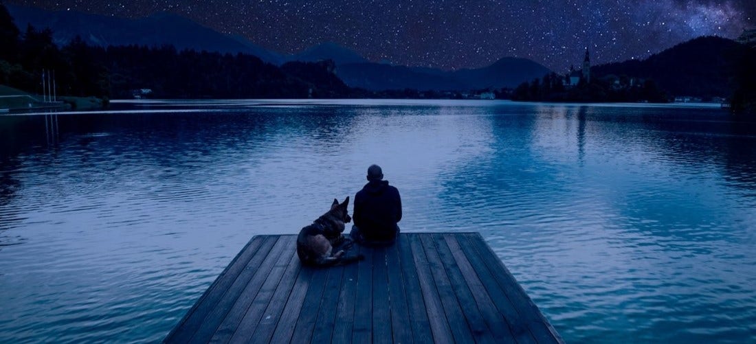 Horoscope Signs and Dog Breeds Find Your Perfect Match!, PetPlace