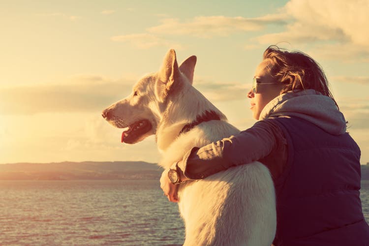 hipster dog names