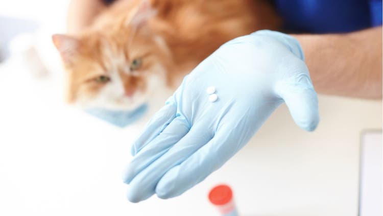 Medication Errors
