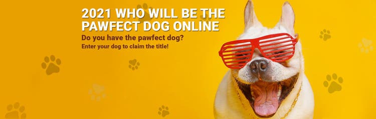 Do you have the pawfect dog?