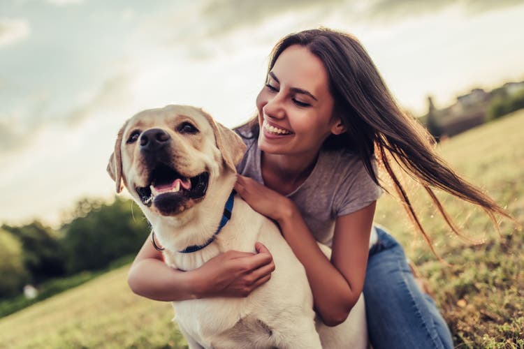 most common dog illnesses