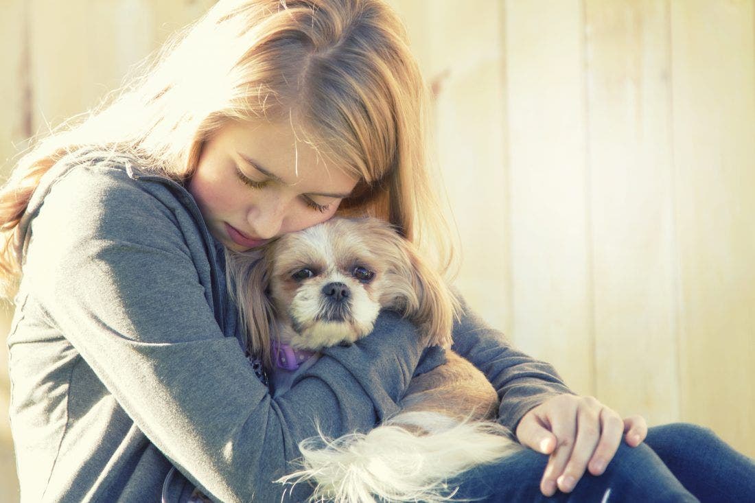 How to Explain a Pet s Death to Your Child PetPlace