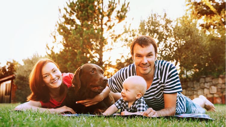A couple poses with their baby and Labrador Retriever.