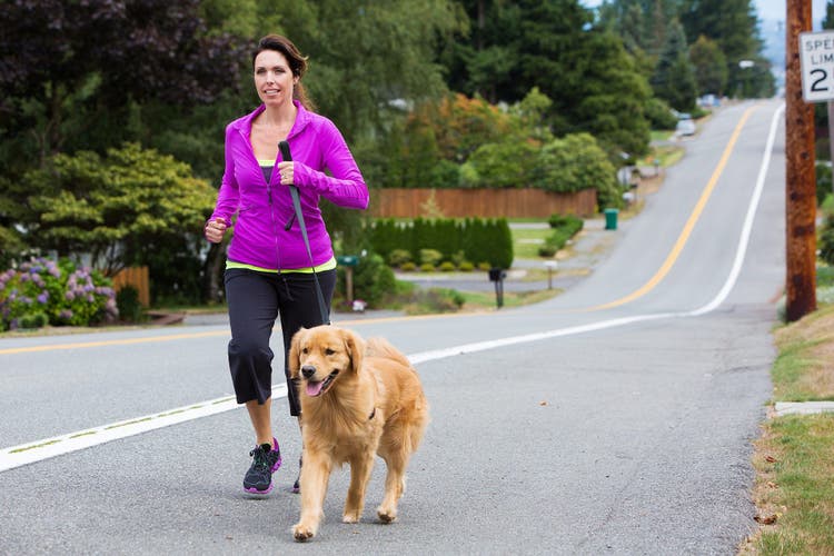 workouts you can do with your dog