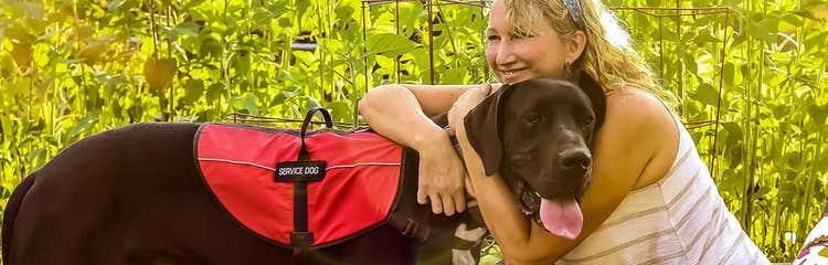 A person hugging a dog AI-generated content may be incorrect.