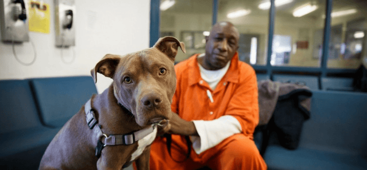 An incarcerated man in the New Leash on Life program sits with his dog.