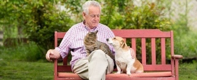 why don't dogs or cats live as long as human