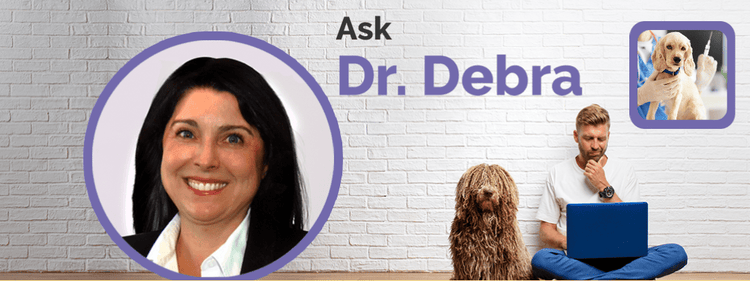 Dr. Debra Primovic answers questions about dog vaccination.