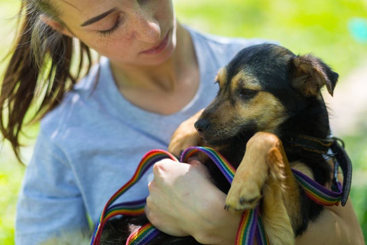 A woman holds a small stray dog.