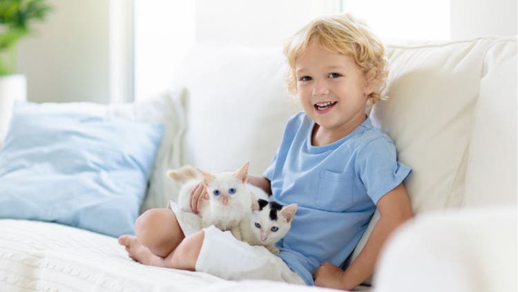 Spring Cleaning for Pet Owners