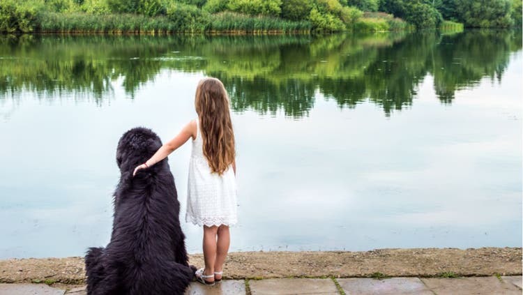 The Three Best Puppy Breeds For Kids