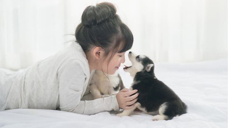 A woman winces at her puppy's bad breath.