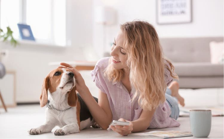 Young woman petting her dog at home.