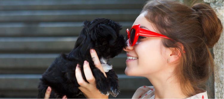 How to understand your puppy's body language.