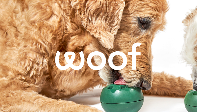 The Woof Pupsicle: An Unbeatable Companion for Your Pet - PetPlace