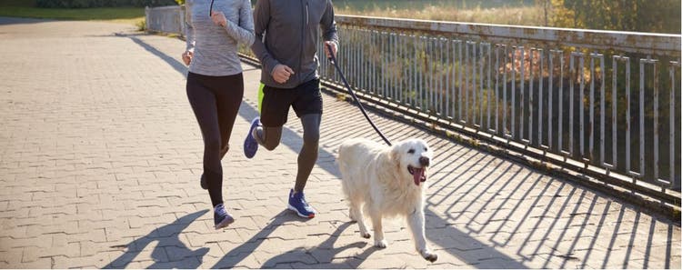 A couple running with their dog.