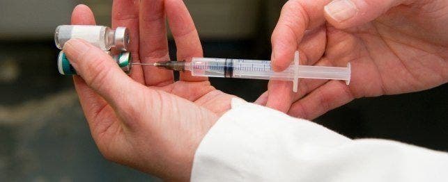 vaccinating your senior dog