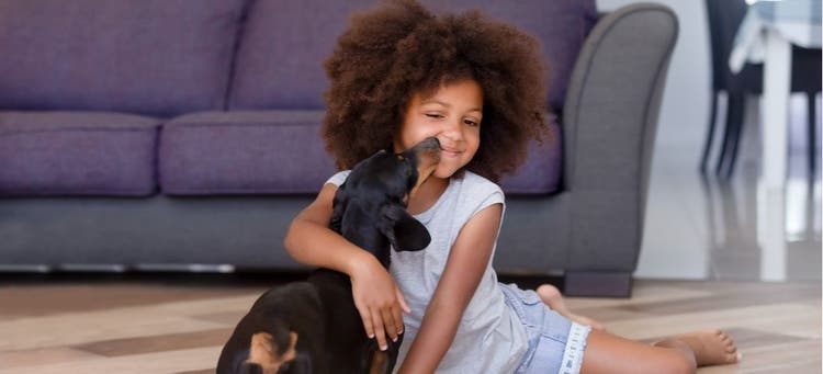 A young girl plays with her new puppy.