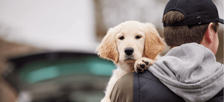 A man dognapping a puppy.