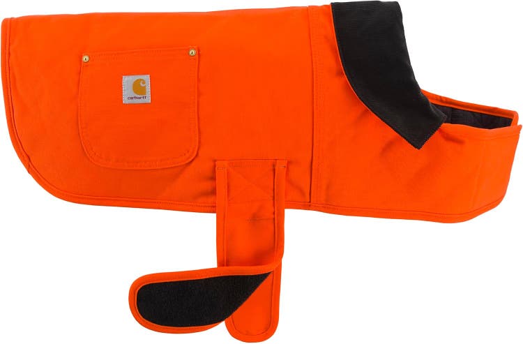 A dog coat with a black and orange patch AI-generated content may be incorrect.