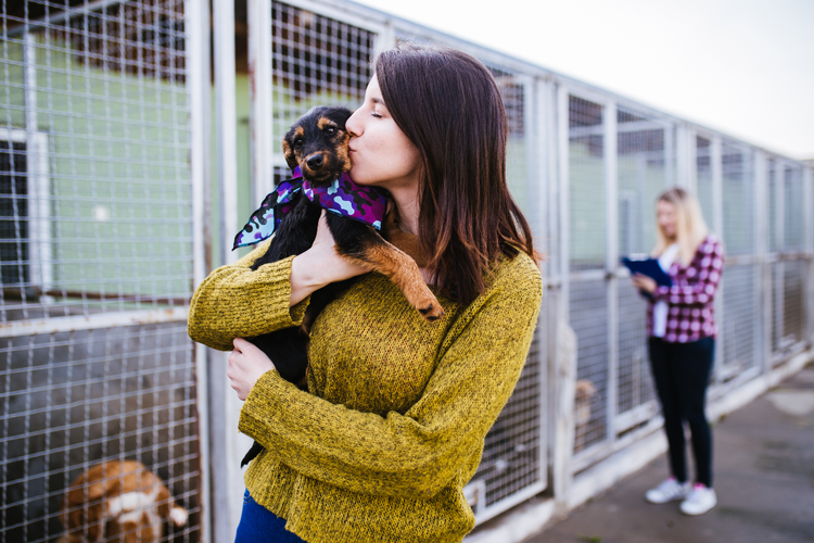 A woman in a yellow sweater kisses her new rescue dog.