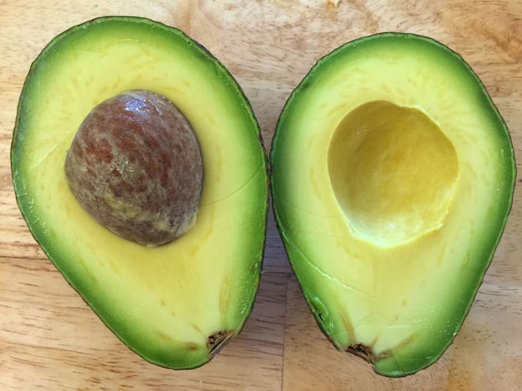can dogs eat avocado
