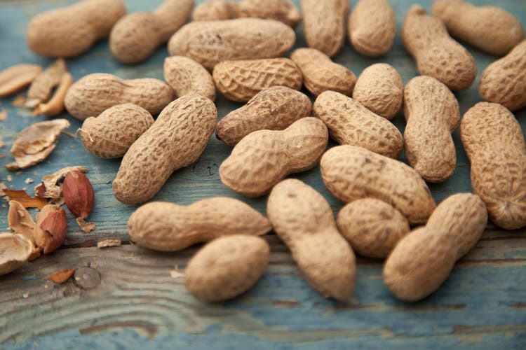 Are dry roasted peanuts bad for dogs outlet