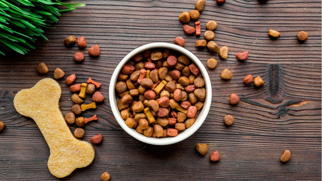 GrainFree Dog Food Vs. Regular Dog Food PetPlace