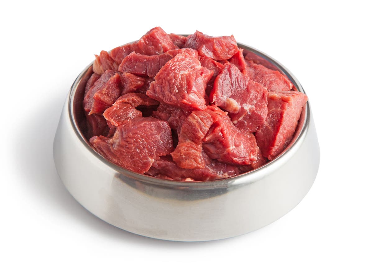 What You Need to Know About the Recent Raw Dog Food Warnings