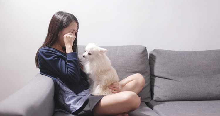 puppy depression