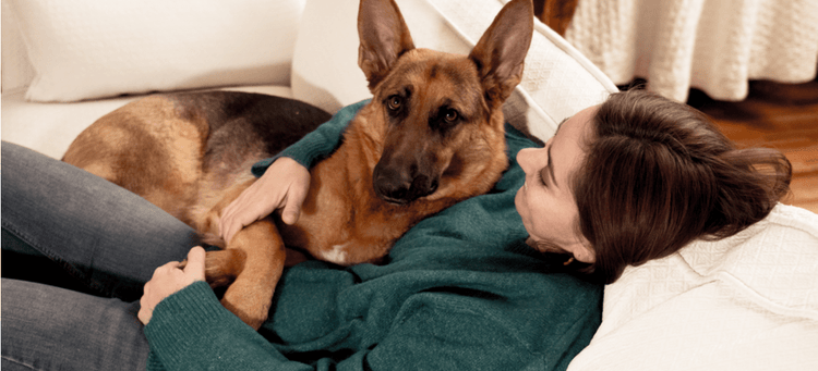 A woman gets cozy with her German Shepherd.