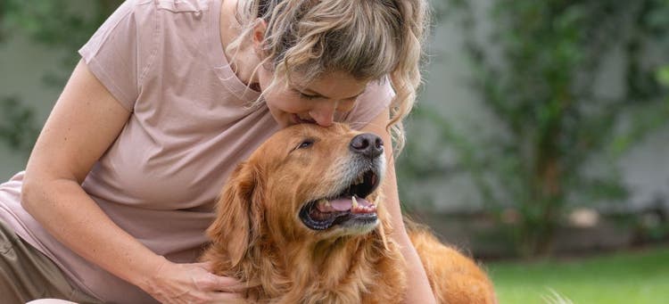 This dog isn't anxious anymore.