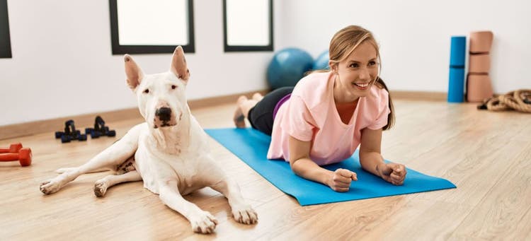 Keep your dog enriched indoors on hot days.