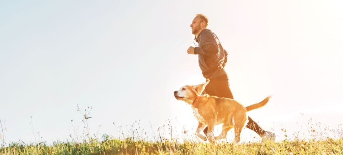 Can a Dog Exercise Too Much? PetPlace