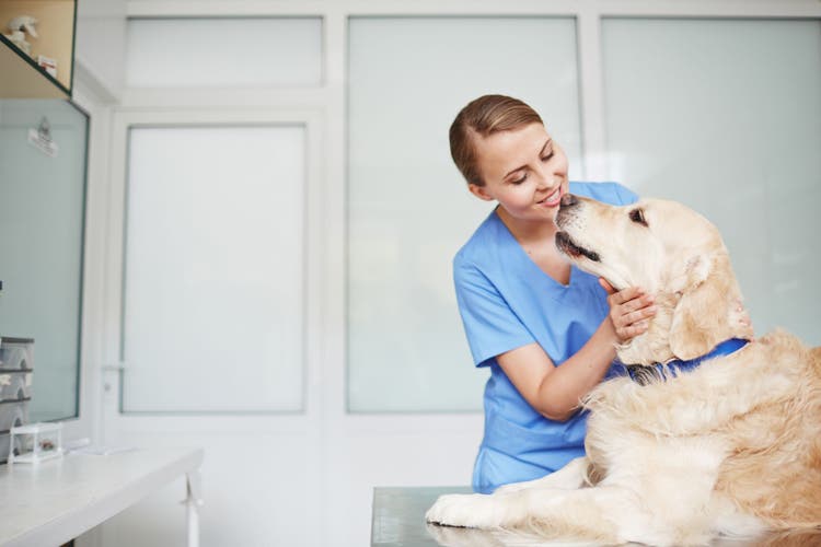 trouble breathing in dogs